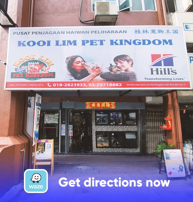 Kooi Lim Pet Kingdom 桂林宠物王国