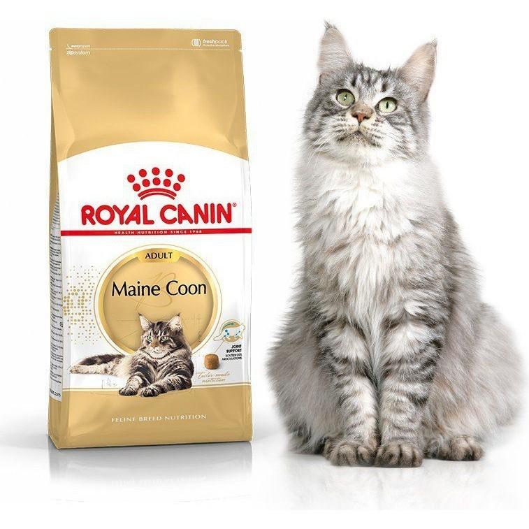 Royal Canin Adult Maine Coon Cat Food 2kg